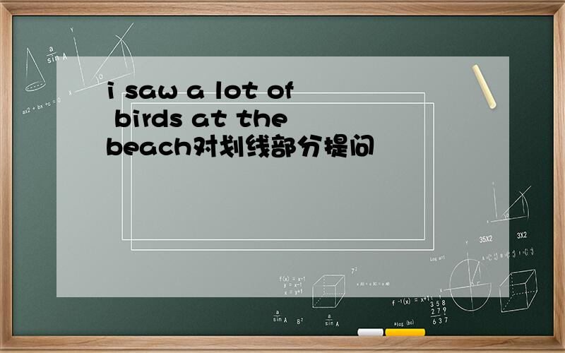 i saw a lot of birds at the beach对划线部分提问