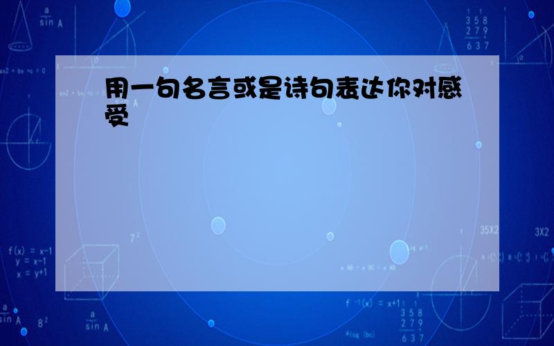 用一句名言或是诗句表达你对感受