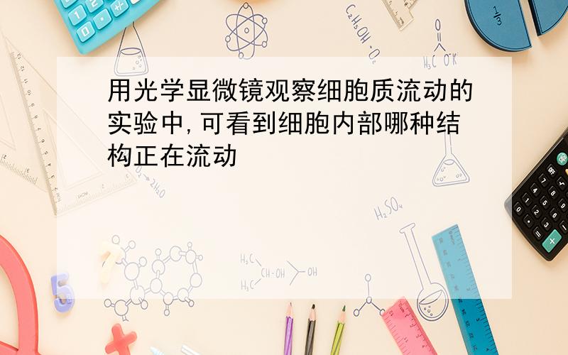 用光学显微镜观察细胞质流动的实验中,可看到细胞内部哪种结构正在流动