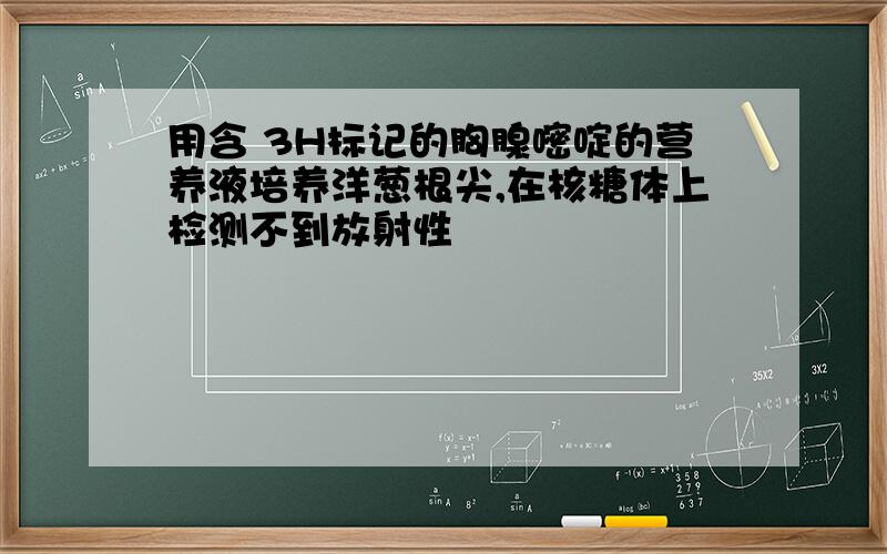 用含 3H标记的胸腺嘧啶的营养液培养洋葱根尖,在核糖体上检测不到放射性