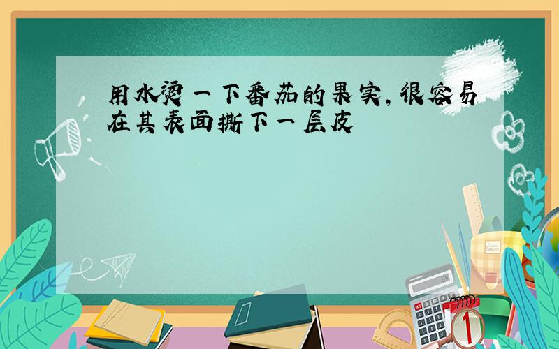 用水烫一下番茄的果实,很容易在其表面撕下一层皮