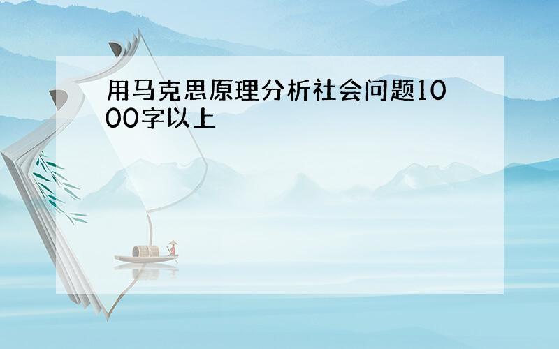 用马克思原理分析社会问题1000字以上