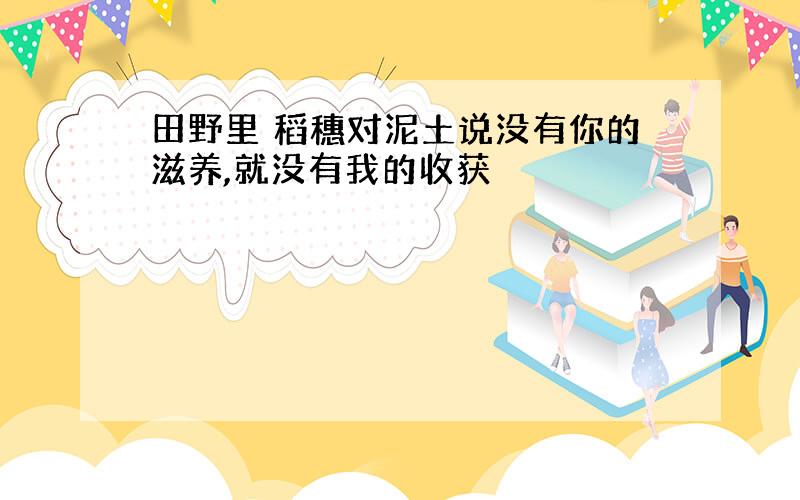 田野里 稻穗对泥土说没有你的滋养,就没有我的收获