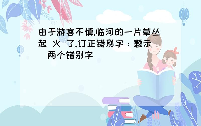 由于游客不慎,临河的一片草丛起 火 了.订正错别字﹕题示(两个错别字)