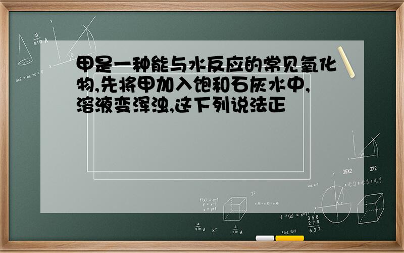 甲是一种能与水反应的常见氧化物,先将甲加入饱和石灰水中,溶液变浑浊,这下列说法正