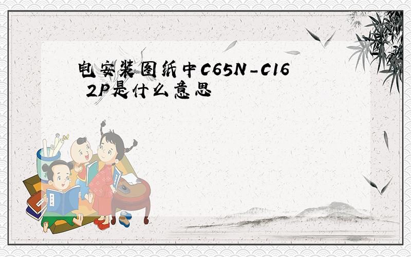 电安装图纸中C65N-C16 2P是什么意思