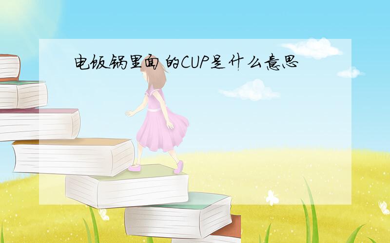 电饭锅里面的CUP是什么意思