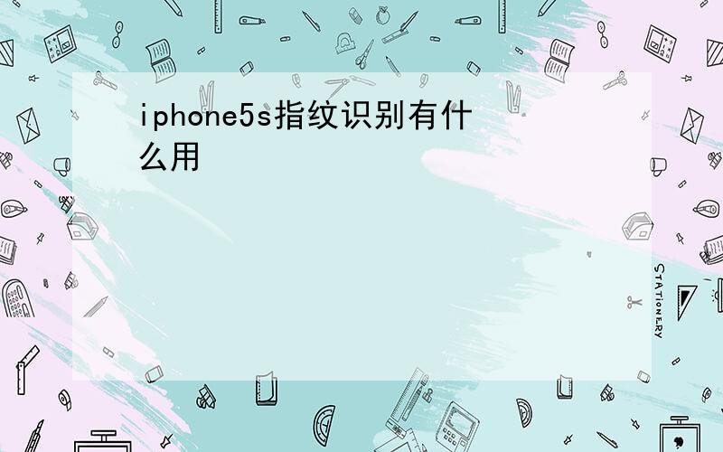 iphone5s指纹识别有什么用