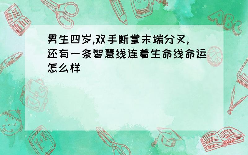 男生四岁,双手断掌末端分叉,还有一条智慧线连着生命线命运怎么样