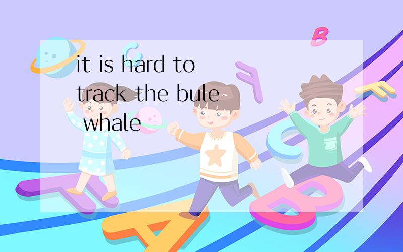 it is hard to track the bule whale