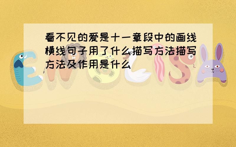 看不见的爱是十一章段中的画线横线句子用了什么描写方法描写方法及作用是什么