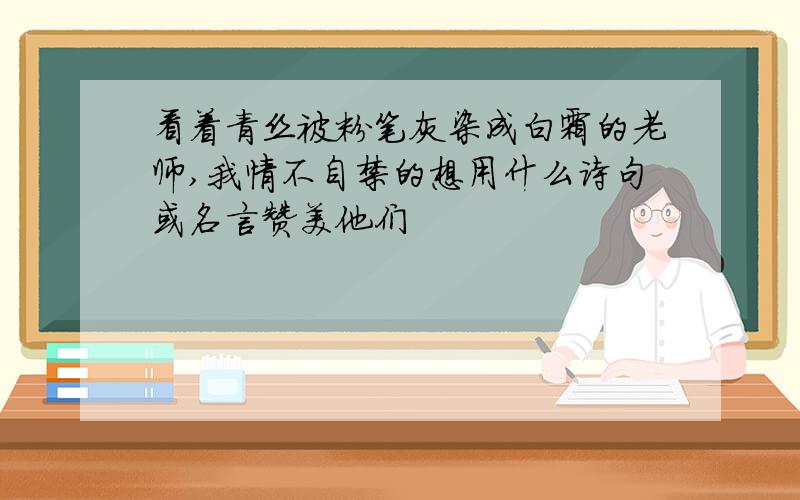 看着青丝被粉笔灰染成白霜的老师,我情不自禁的想用什么诗句或名言赞美他们