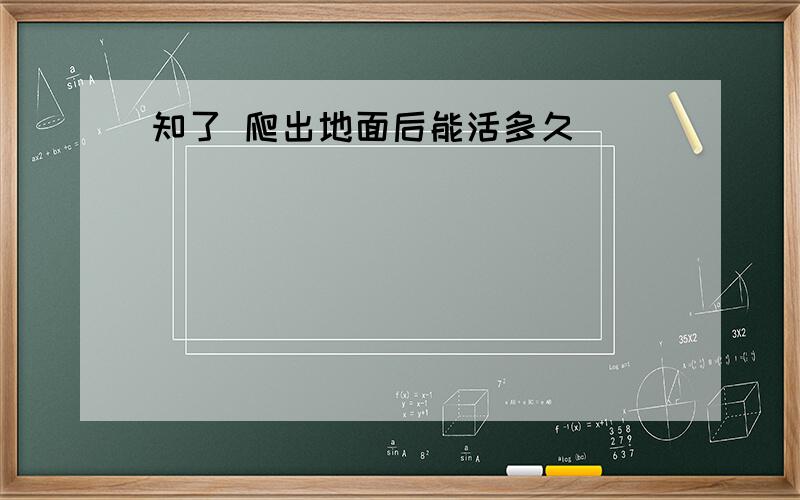 知了 爬出地面后能活多久