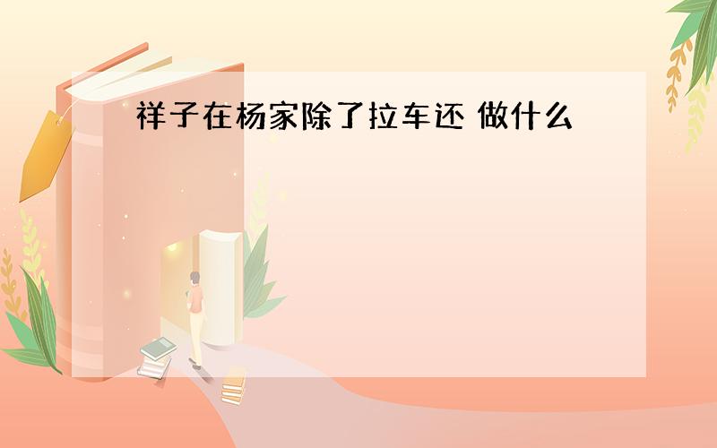 祥子在杨家除了拉车还 做什么