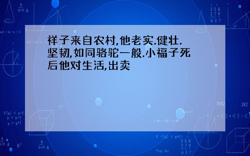 祥子来自农村,他老实.健壮.坚韧,如同骆驼一般.小福子死后他对生活,出卖