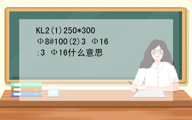 KL2(1)250*300 Ф8@100(2)3 Ф16:3 Ф16什么意思