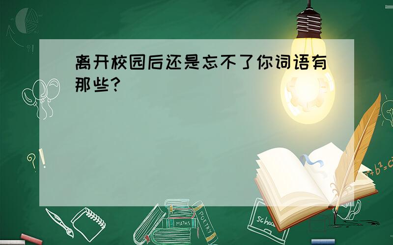 离开校园后还是忘不了你词语有那些?