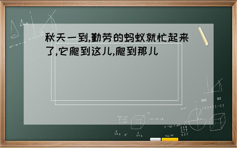 秋天一到,勤劳的蚂蚁就忙起来了,它爬到这儿,爬到那儿