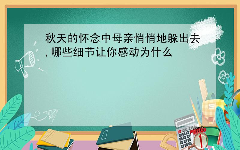 秋天的怀念中母亲悄悄地躲出去,哪些细节让你感动为什么