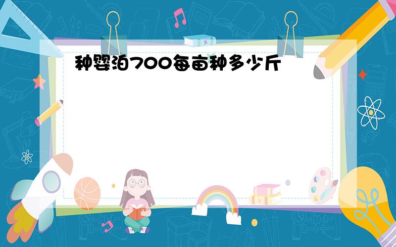 种婴泊700每亩种多少斤