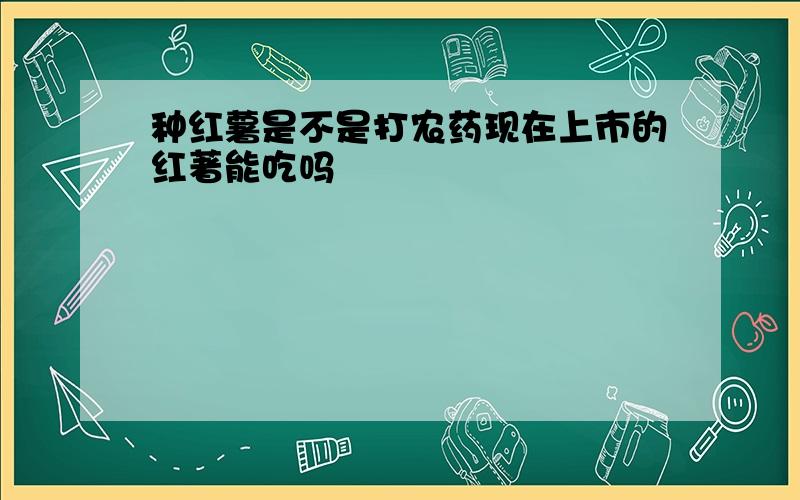 种红薯是不是打农药现在上市的红著能吃吗