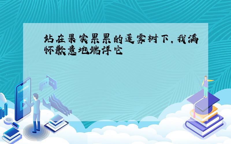 站在果实累累的莲雾树下,我满怀歉意地端详它