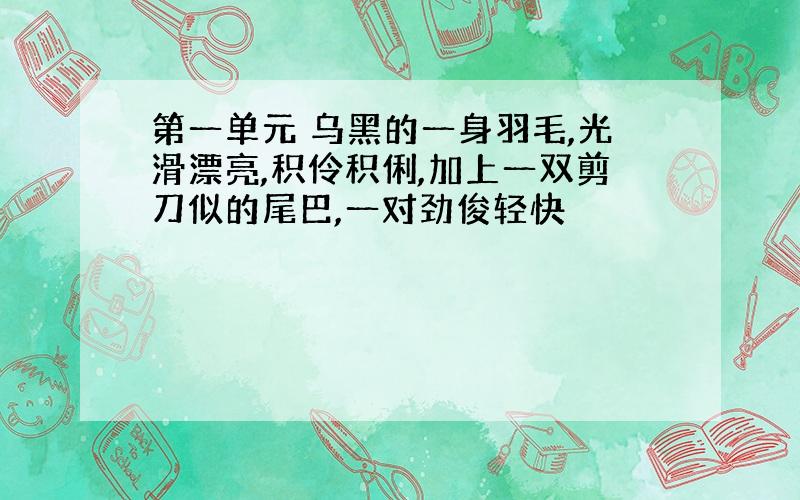 第一单元 乌黑的一身羽毛,光滑漂亮,积伶积俐,加上一双剪刀似的尾巴,一对劲俊轻快