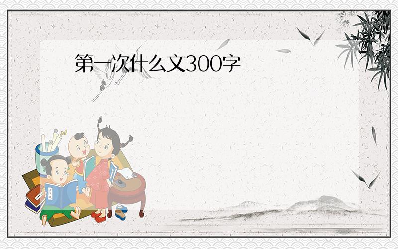 第一次什么文300字