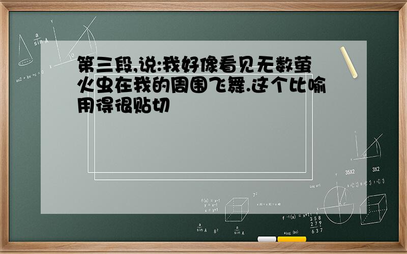 第三段,说:我好像看见无数萤火虫在我的周围飞舞.这个比喻用得很贴切