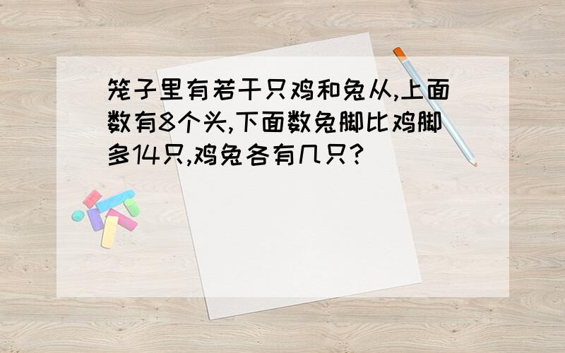 笼子里有若干只鸡和兔从,上面数有8个头,下面数兔脚比鸡脚多14只,鸡兔各有几只?