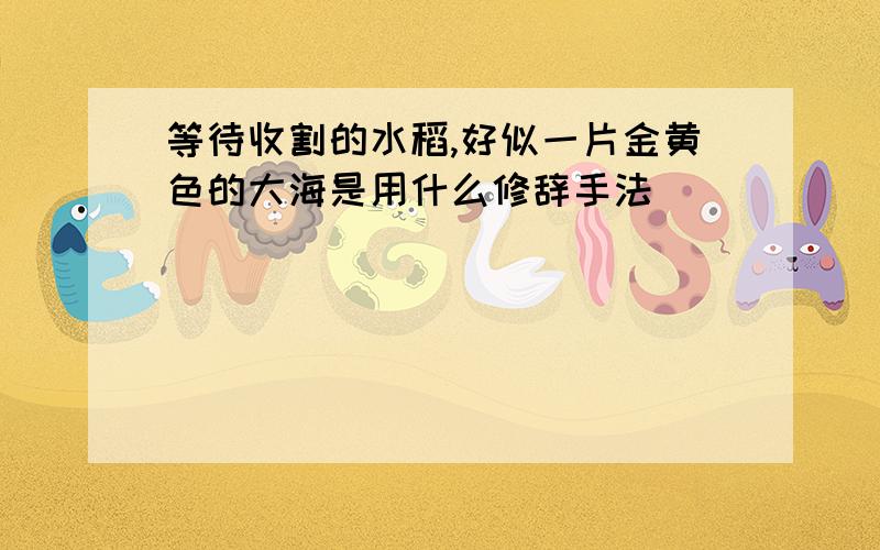 等待收割的水稻,好似一片金黄色的大海是用什么修辞手法