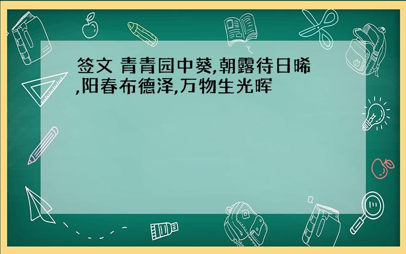 签文 青青园中葵,朝露待日晞,阳春布德泽,万物生光晖