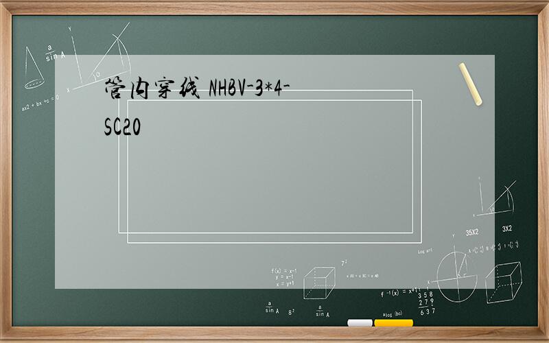 管内穿线 NHBV-3*4-SC20