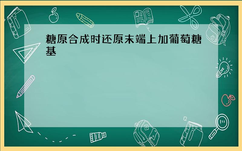 糖原合成时还原末端上加葡萄糖基