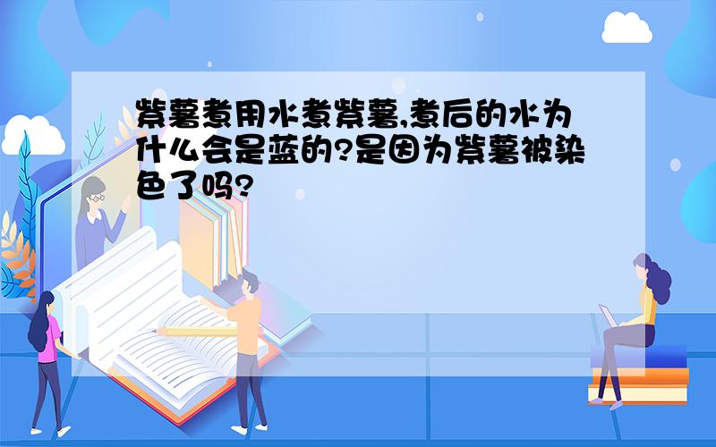 紫薯煮用水煮紫薯,煮后的水为什么会是蓝的?是因为紫薯被染色了吗?