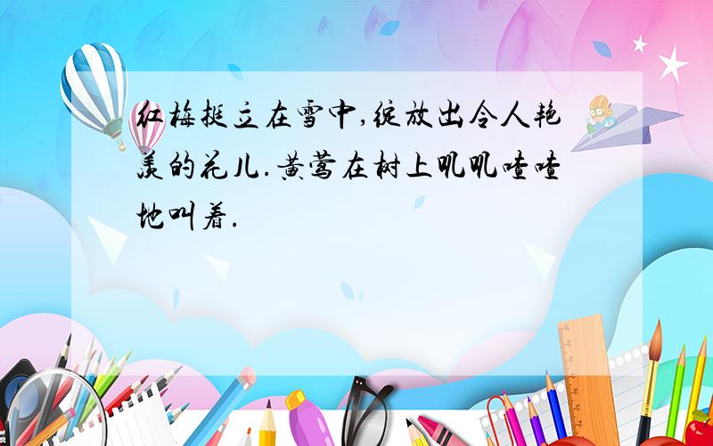 红梅挺立在雪中,绽放出令人艳羡的花儿.黄莺在树上叽叽喳喳地叫着.