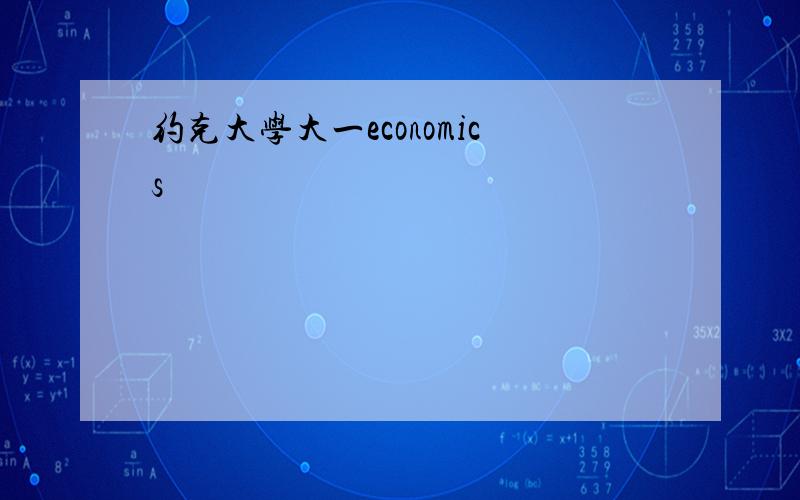 约克大学大一economics