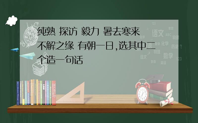 纯熟 探访 毅力 暑去寒来 不解之缘 有朝一日,选其中二个造一句话