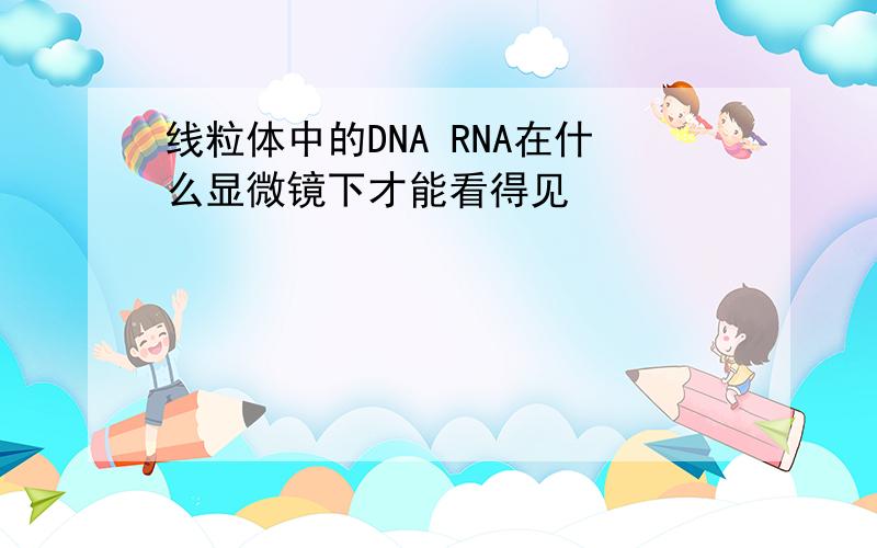 线粒体中的DNA RNA在什么显微镜下才能看得见