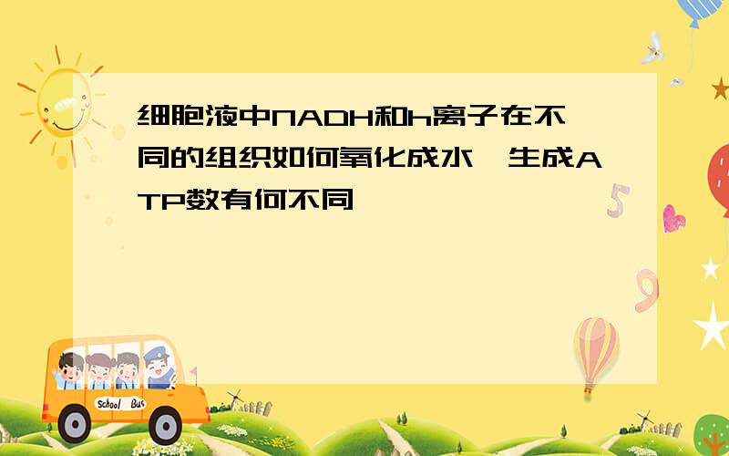 细胞液中NADH和h离子在不同的组织如何氧化成水,生成ATP数有何不同