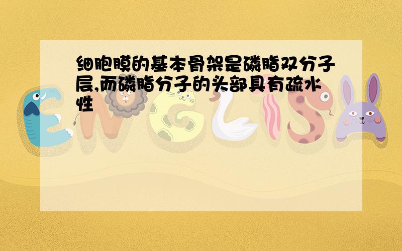 细胞膜的基本骨架是磷脂双分子层,而磷脂分子的头部具有疏水性