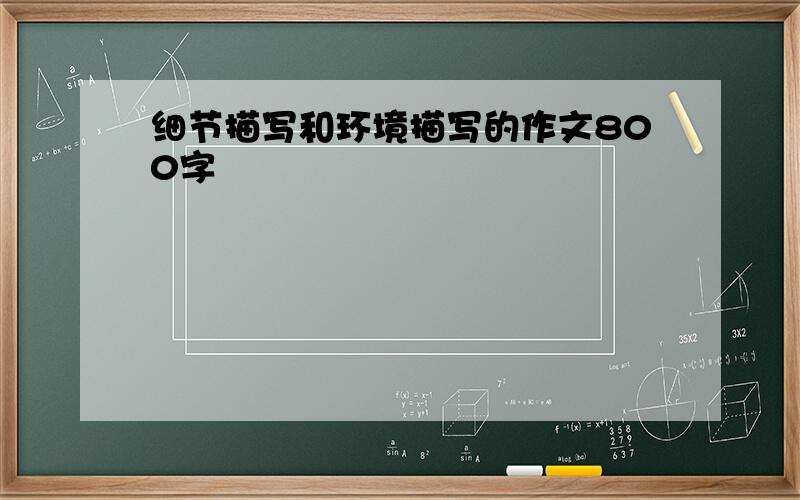 细节描写和环境描写的作文800字