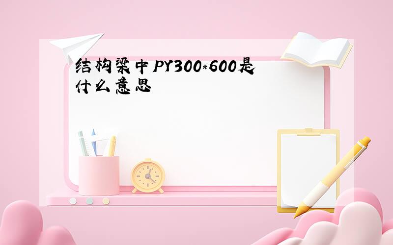 结构梁中PY300*600是什么意思