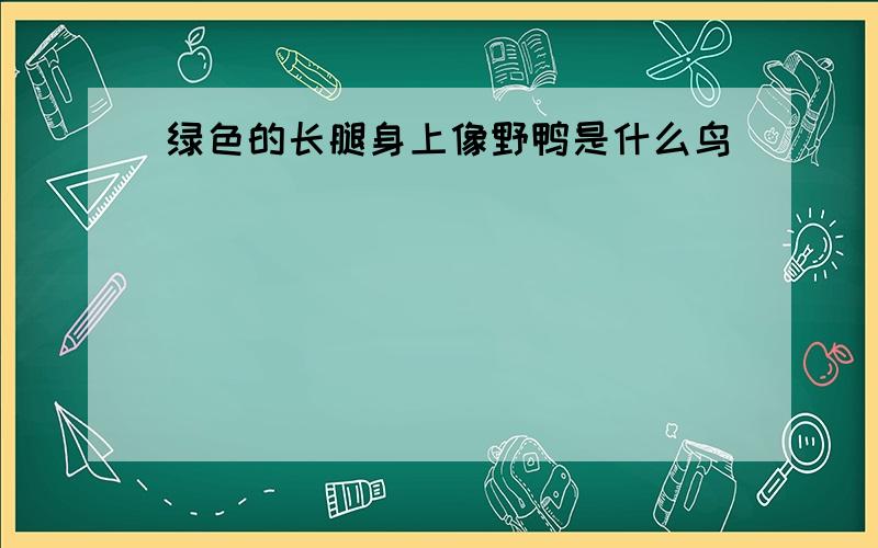 绿色的长腿身上像野鸭是什么鸟