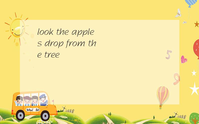 look the apples drop from the tree