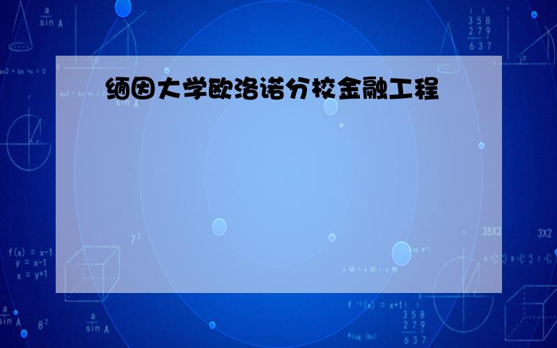 缅因大学欧洛诺分校金融工程