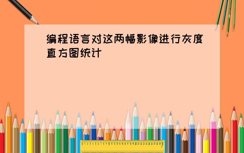 编程语言对这两幅影像进行灰度直方图统计