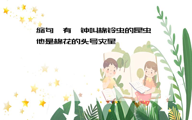 缩句"有一钟叫棉铃虫的昆虫,他是棉花的头号灾星"