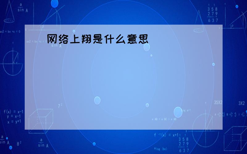 网络上翔是什么意思