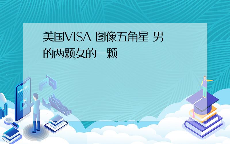 美国VISA 图像五角星 男的两颗女的一颗